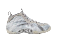 Nike Air Foamposite One Dream A World Grey